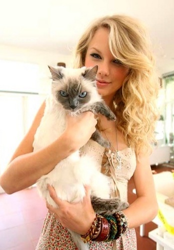  taylor and cat