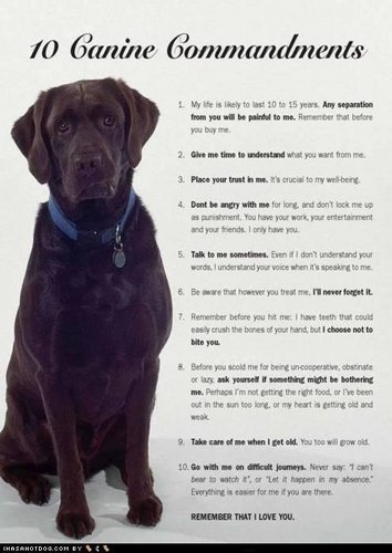 10 Canine Commandments :)