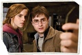DH Part 2 Movie Stills Recopilation: Harry and Hermione at Hog's Head Pub - harry-potter photo