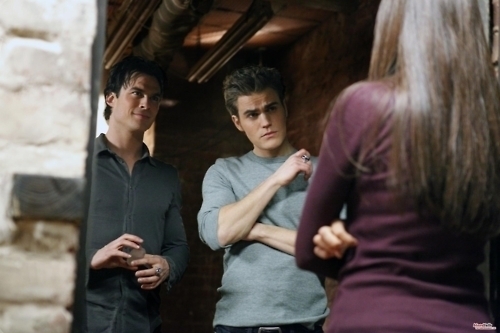  Damon, Stefan and Elena 2x15
