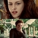 Edward&Bella - edward-and-bella icon