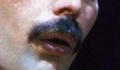 Freddie Mercurys  mustache has more talent than any musican now a days - freddie-mercury photo