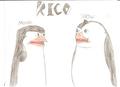 Rico(s) - penguins-of-madagascar fan art