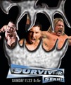 Survivor Series 2009 - wwe photo