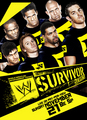 Survivor Series 2010 - wwe photo
