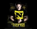 Survivor Series 2010 - wwe photo