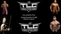 TLC 2009 - wwe photo