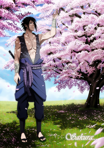  sasuke_ sakura blossom