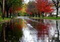 Autumn Rain - autumn photo