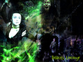 Bellatrix Lestrange - harry-potter photo