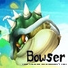  Bowser
