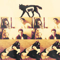 Candice/Michael (4wood) Love Them 2gether (Wolfvamp) 100% Real :) x - tyler-and-caroline photo