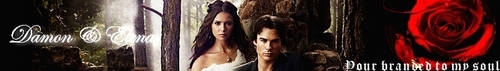  DELENA BANNERS SUGGESTIONS