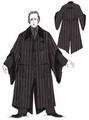 HP costumes - harry-potter photo