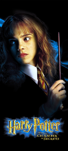  Hermione Granger, Chamber of Secrets