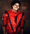 Michael THE THRILLER Jackson - michael-jackson photo