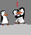 No Kowalski!!! - penguins-of-madagascar fan art