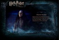 OOTP Character Description - Death Eaters - harry-potter photo