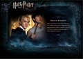 OOTP Character Description - Draco - harry-potter photo