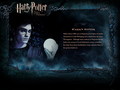 OOTP Character Description - Harry - harry-potter photo