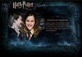 OOTP Character Description - Hermione - harry-potter photo