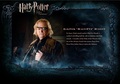 OOTP Character Description - Mad-Eye Moody - harry-potter photo