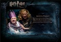 OOTP Character Description - Mr. Weasley - harry-potter photo