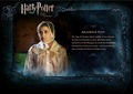 OOTP Character Description - Mrs. Figg - harry-potter photo