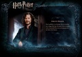 OOTP Character Description - Sirius - harry-potter photo