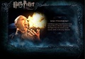 OOTP Character Description - Voldemort - harry-potter photo