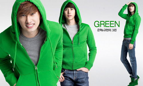 SPAO Star Hoodie Collection