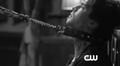 the-vampire-diaries-tv-show - TVD 2x14 'Crying Wolf' Promo (Screencaps). screencap
