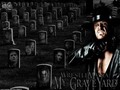 The Undertaker - wwe photo