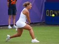 dominika cibulkova ass - tennis photo