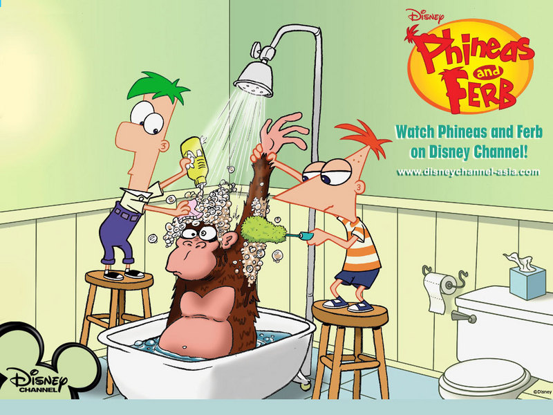 phineas and ferb wallpaper. phineas and ferb