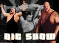 Big Show - wwe photo