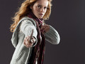 DH 2 Promo Pic. - harry-potter photo
