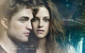 edward-and-bella - Edward&Bella wallpaper