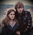 Hermione & Ron :)) - harry-potter photo