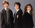 Harry, Ron and Hermione - harry-potter photo