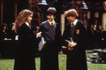 Harry, Ron y Hermione - harry-potter photo