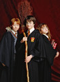 Harry, Ron y Hermione - harry-potter photo