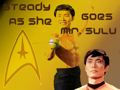  Mr. Sulu