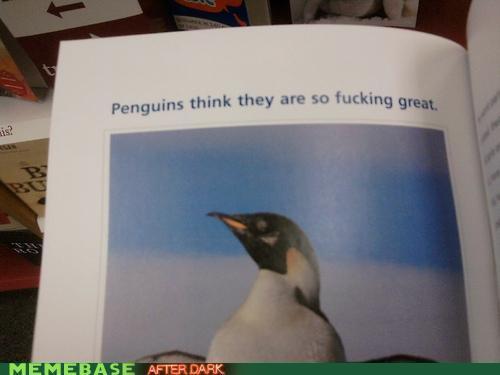 Oh, Penguins!