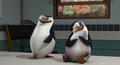 penguins-of-madagascar - Skipper... I don't think you should slap Private when he's injured... screencap