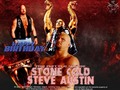 Steve "Stone Cold" Austin - wwe photo