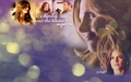 castle - it's definitely not about the books anymore wallpaper