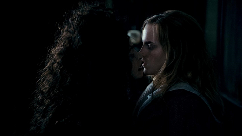  Bellatrix & Hermione Manip