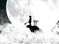 KH<3 - kingdom-hearts photo