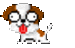 lol dog animation - dogs icon